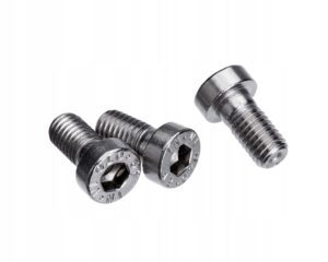 M5x20 ŚRUBA AMPULOWA IMBUSOWA WALCOWA niska NIERDZEWNA A2 6912 (10)